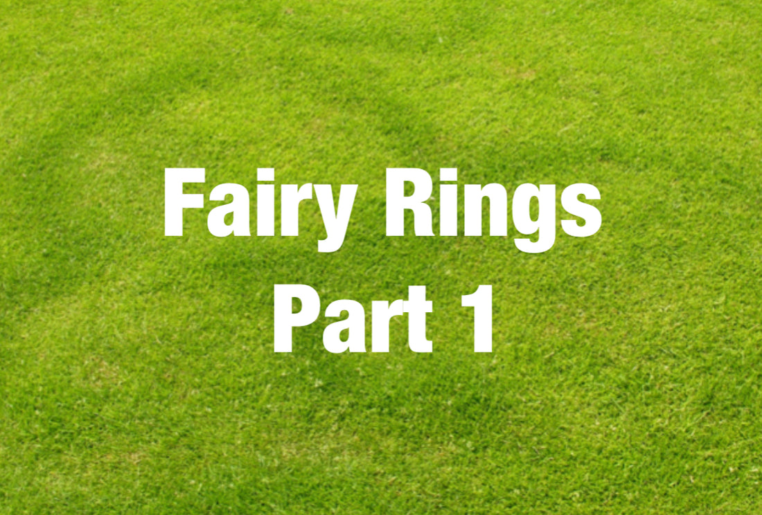 fairy rings weed grass lawn blog article post
