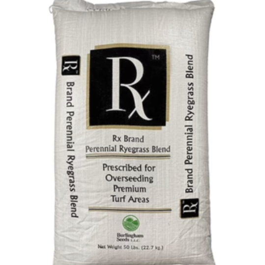 Burlingham Seeds RX Perennial Ryegrass Blend BT Grass Seed- 50# Bag