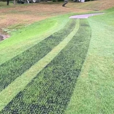 Traqrollz protective turf mat over wear path growing new grass